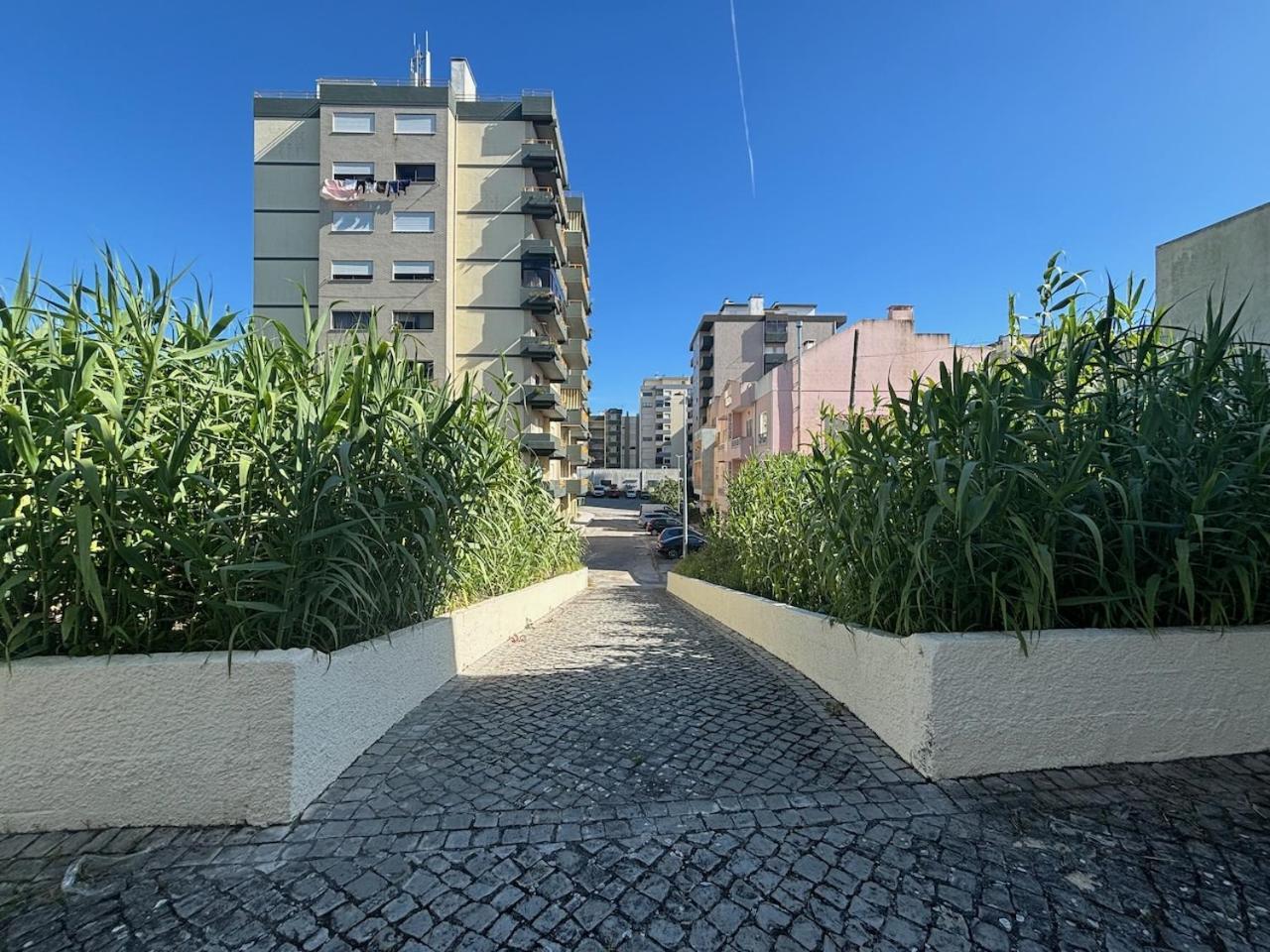 Rosario - Two Bedroom Apart- Buarcos - Figueira Da Foz Exterior photo